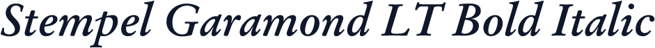 Stempel Garamond LT Bold Italic