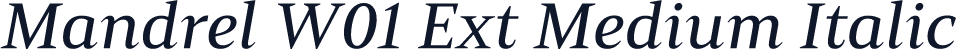 Mandrel W01 Ext Medium Italic