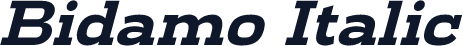 Bidamo Italic