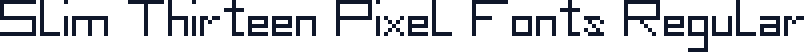 Slim Thirteen Pixel Fonts Regular