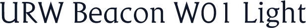 URW Beacon W01 Light