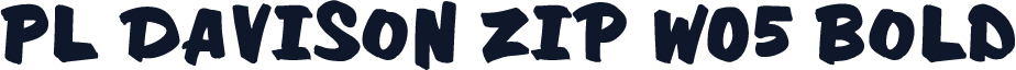 PL Davison Zip W05 Bold