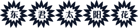 东君太阳花