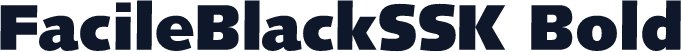 FacileBlackSSK Bold