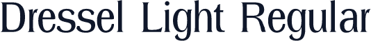 Dressel Light Regular