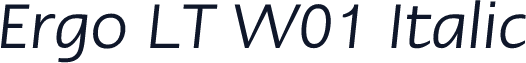 Ergo LT W01 Italic
