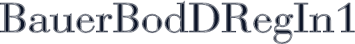 BauerBodDRegIn1