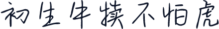 初生牛犊不怕虎