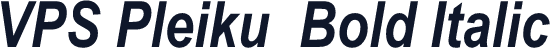 VPS Pleiku  Bold Italic
