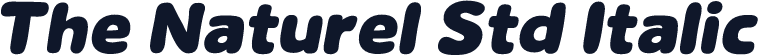 The Naturel Std Italic