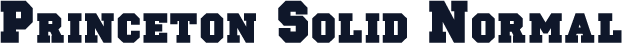 Princeton Solid Normal