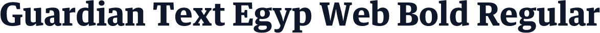 Guardian Text Egyp Web Bold Regular
