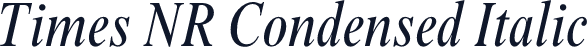 Times NR Condensed Italic