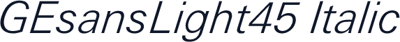 GEsansLight45 Italic