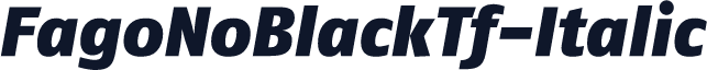 FagoNoBlackTf-Italic