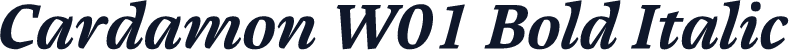 Cardamon W01 Bold Italic