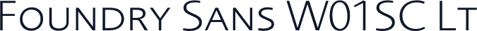Foundry Sans W01SC Lt