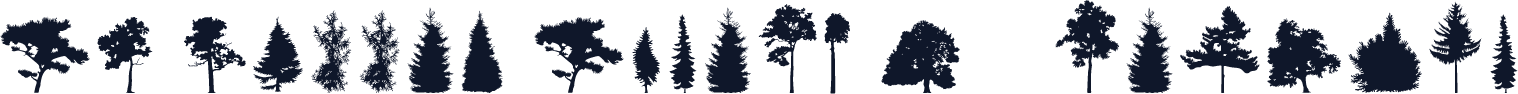 FT Hidden Forest W95 Regular