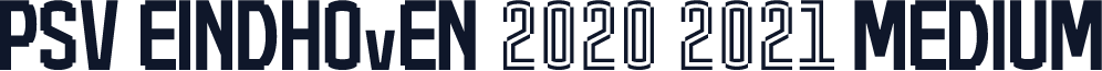 PSV Eindhoven 2020 2021 Medium