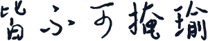 皆不可掩瑜
