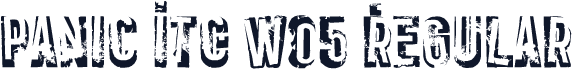 Panic ITC W05 Regular