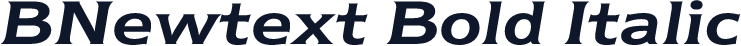 BNewtext Bold Italic