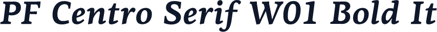 PF Centro Serif W01 Bold It