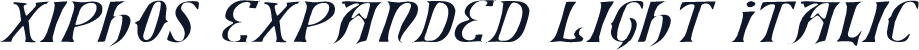 Xiphos Expanded Light Italic