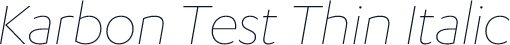Karbon Test Thin Italic