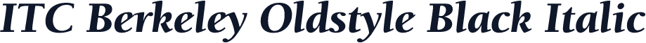 ITC Berkeley Oldstyle Black Italic