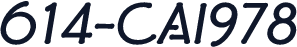 614-CAI978