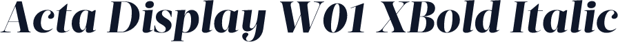 Acta Display W01 XBold Italic