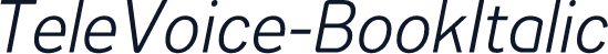 TeleVoice-BookItalic