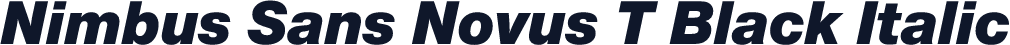 Nimbus Sans Novus T Black Italic