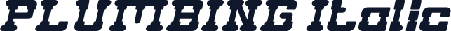 PLUMBING Italic