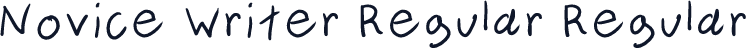 Novice Writer Regular Regular