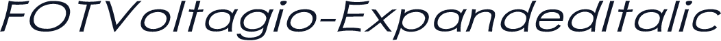 FOTVoltagio-ExpandedItalic