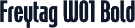 Freytag W01 Bold