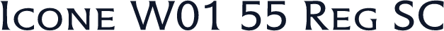 Icone W01 55 Reg SC