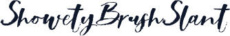 ShowetyBrushSlant