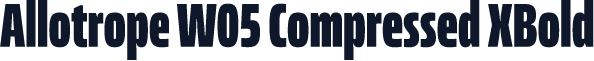 Allotrope W05 Compressed XBold