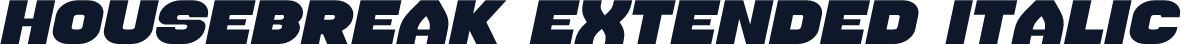 Housebreak Extended Italic