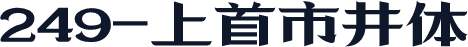 249-上首市井体