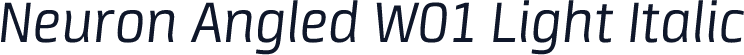 Neuron Angled W01 Light Italic