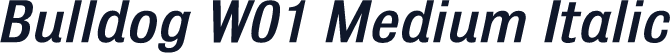 Bulldog W01 Medium Italic