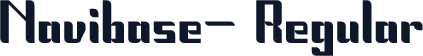 Navibase- Regular