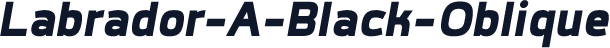 Labrador-A-Black-Oblique