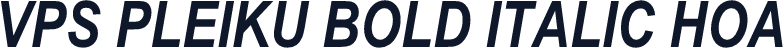 VPS Pleiku Bold Italic Hoa