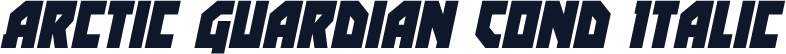 Arctic Guardian Cond Italic