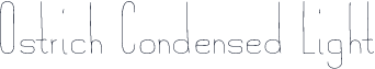 Ostrich Condensed Light